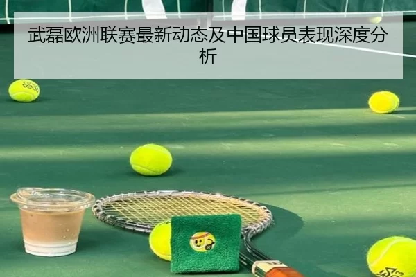 武磊欧洲联赛最新动态及中国球员表现深度分析